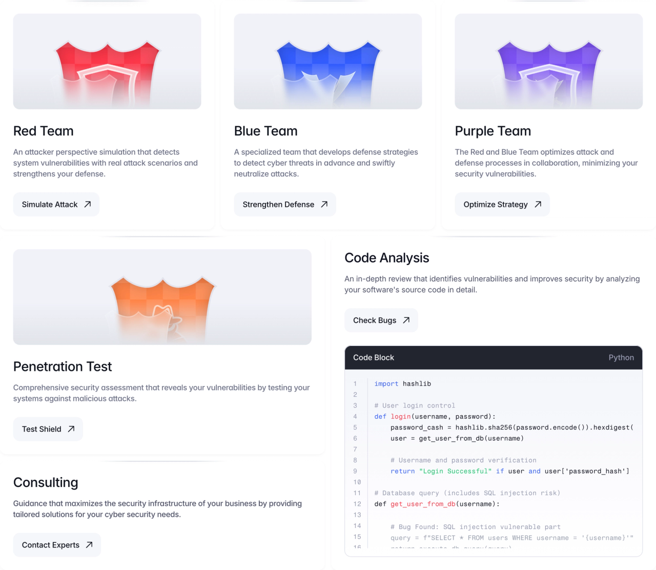 Service cards for Red, Blue and Purple Team, Penetration Test and Consulting, plus a Code Analysis card with a Python code block flagging SQL injection
