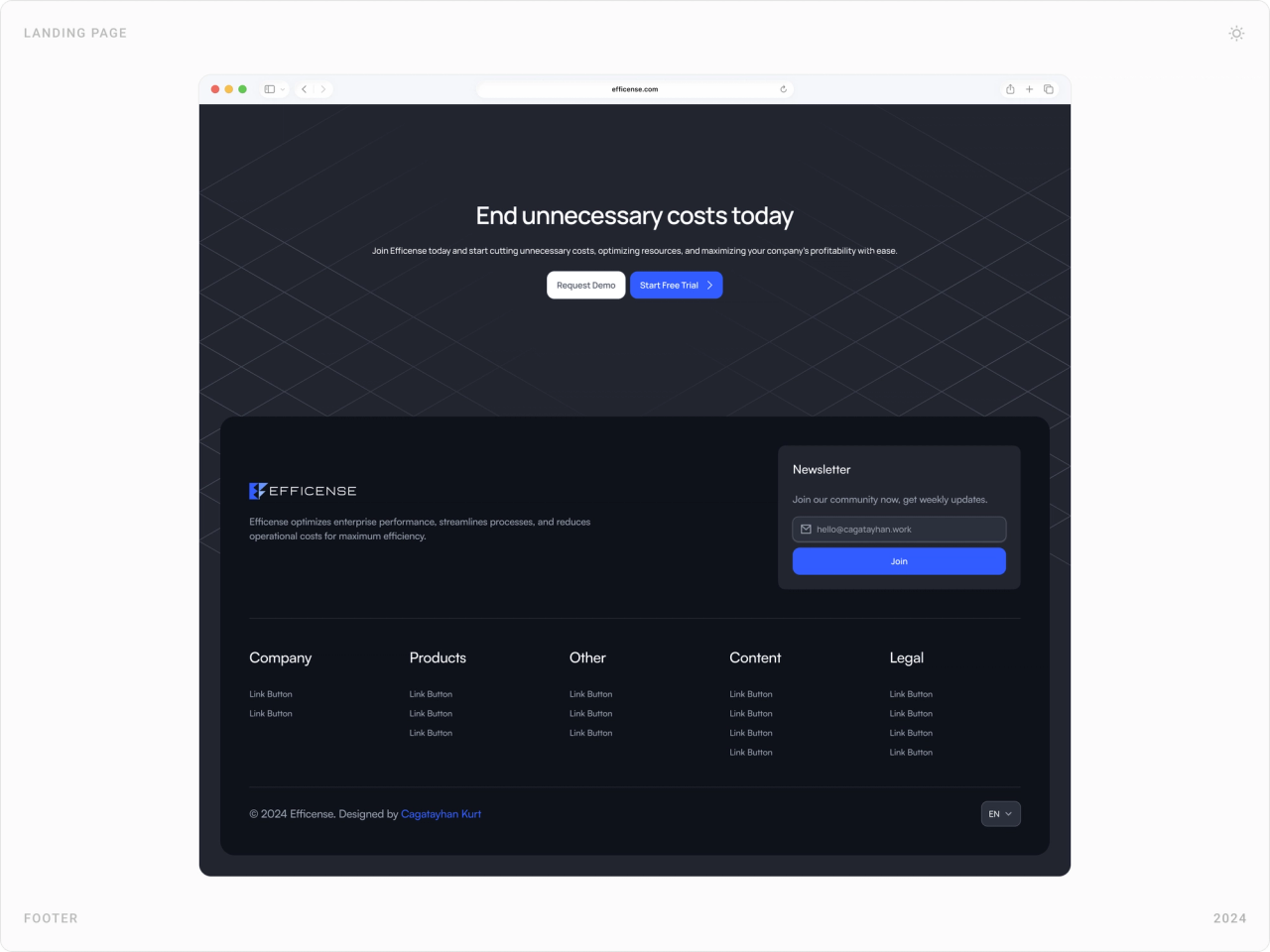 Dark closing section “End unnecessary costs today” with demo and trial buttons, newsletter signup and footer links