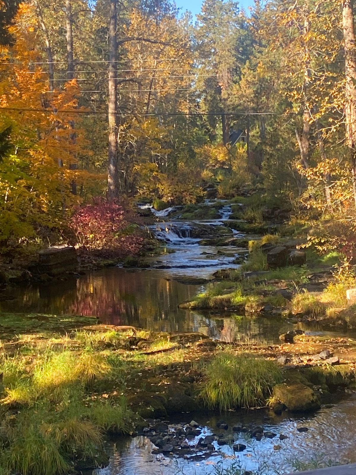 From the Trout Lake bridge