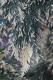 Chamaecyparis nootkatensis 'Sparkling Arrow'