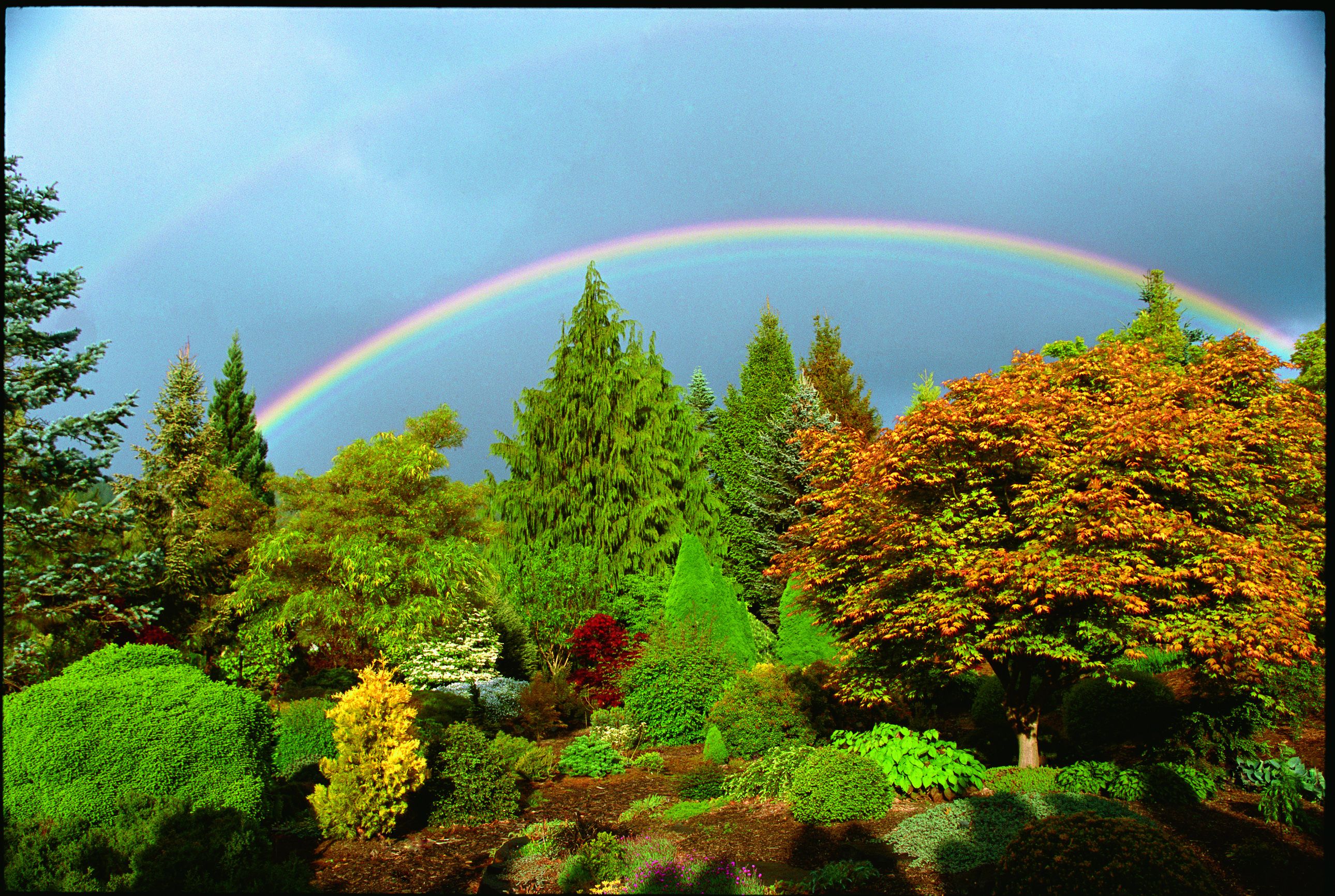 Flora Wonder Arboretum