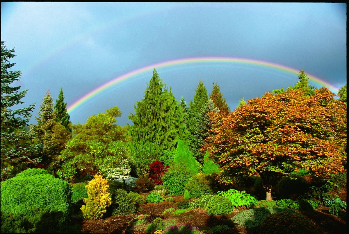 Flora Wonder Arboretum