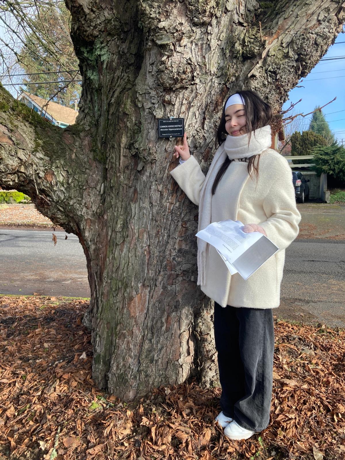 Aesculus hippocastanum