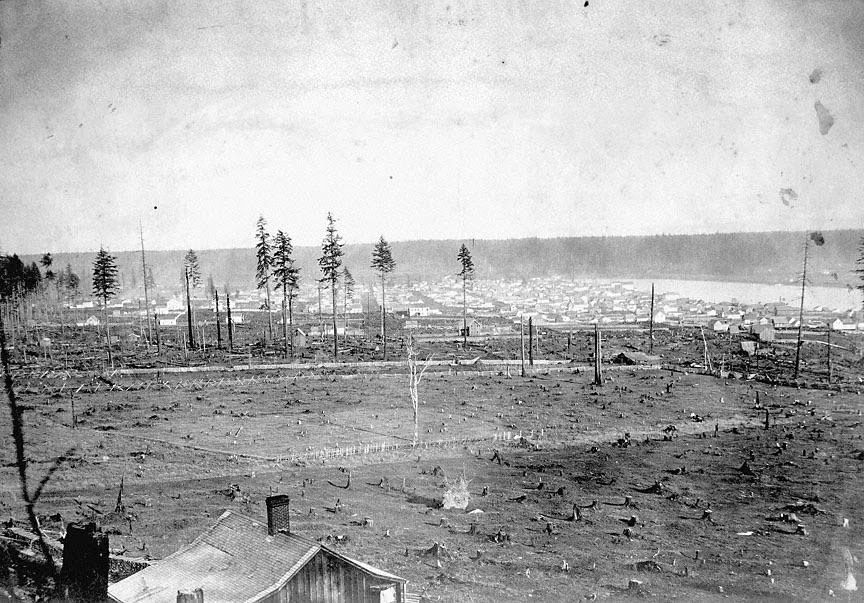 Stumptown in 1857