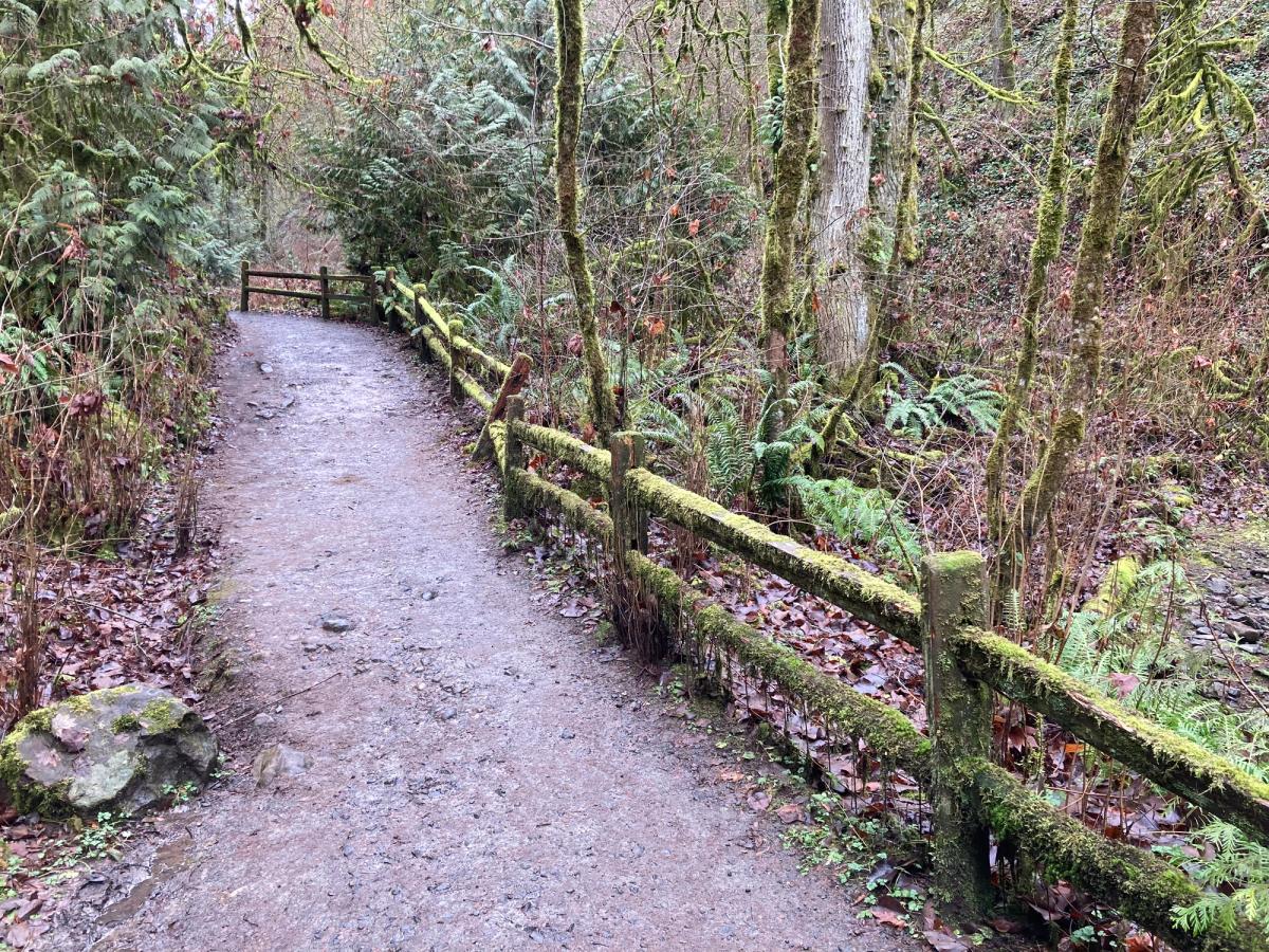 Forest Park, Portland