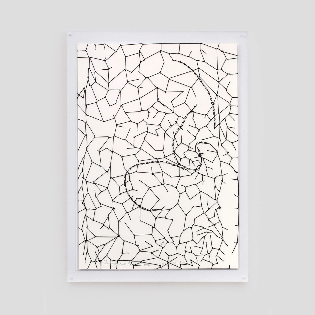 Anna Maria Maiolino — Sem título, da série Indícios, 2007