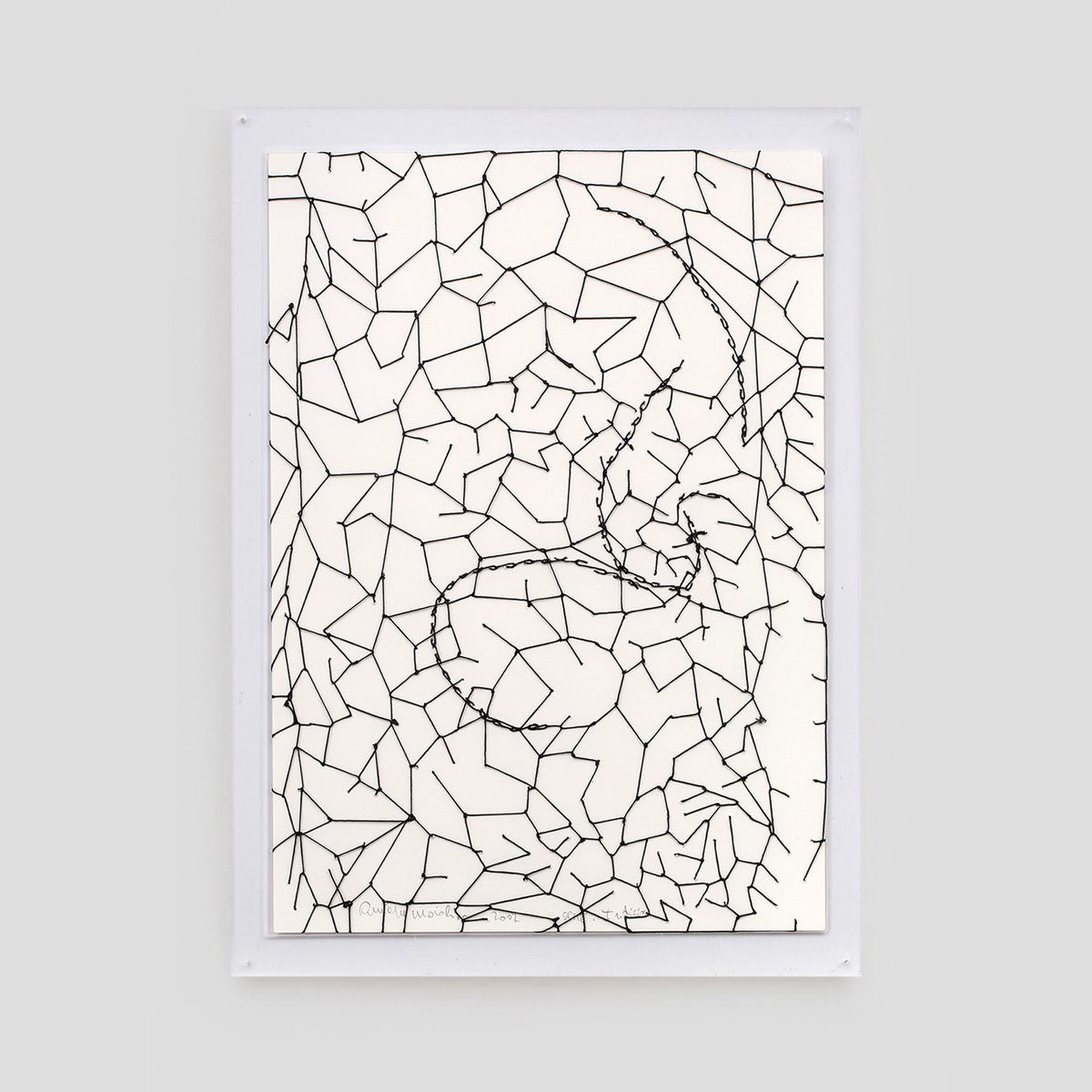 Anna Maria Maiolino — Sem título, da série Indícios, 2007
