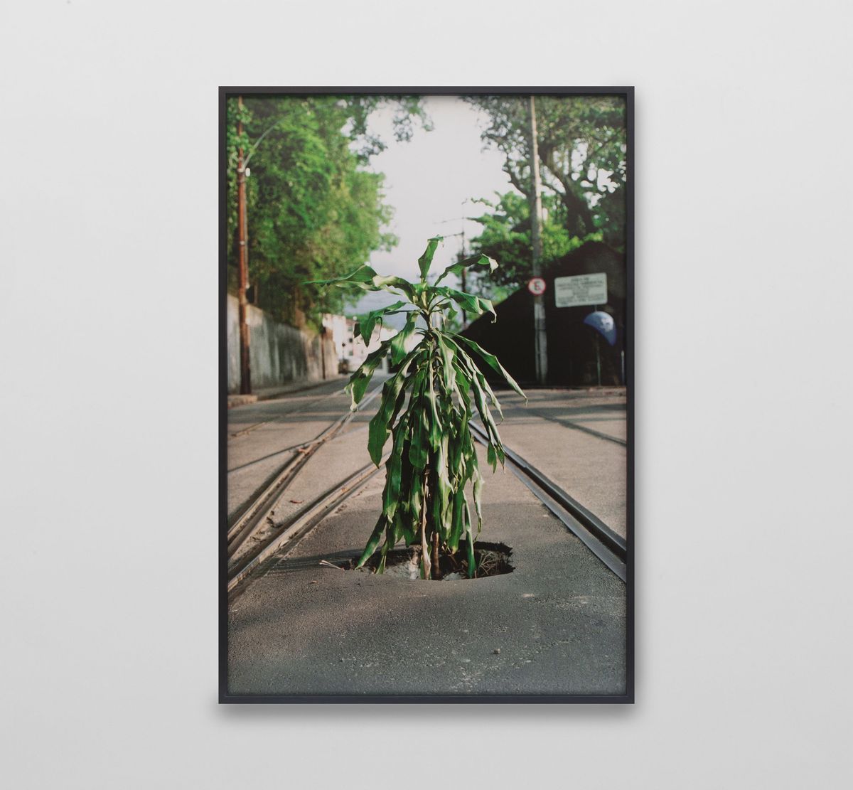 Marcos Chaves — Sem título #02, da série Buracos, 1996/2008