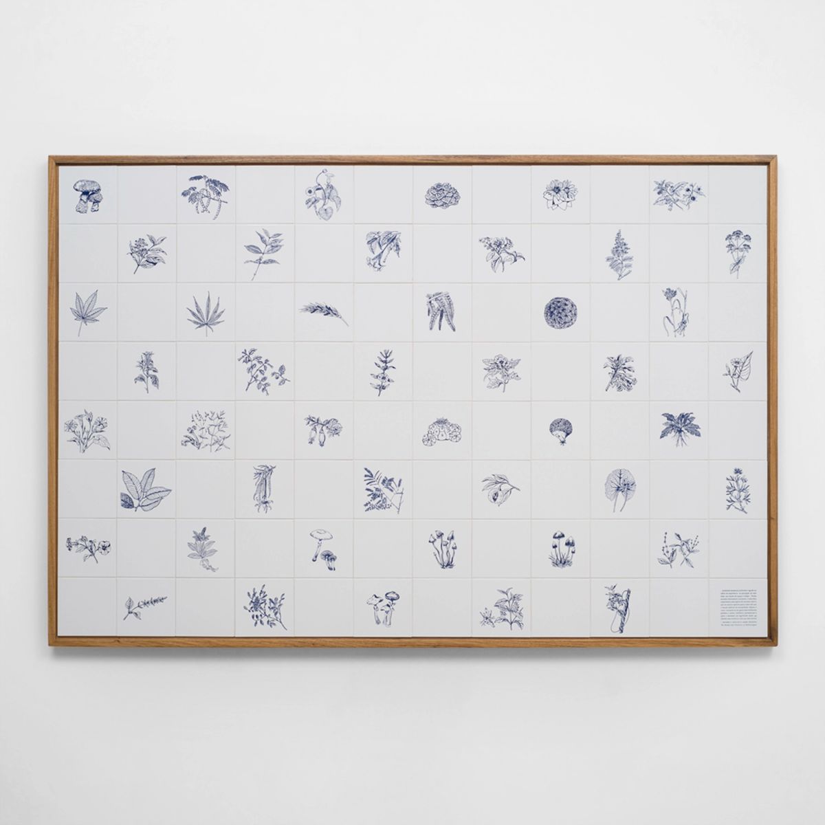 Adriana Varejão — Panacea Phantastica, 2003