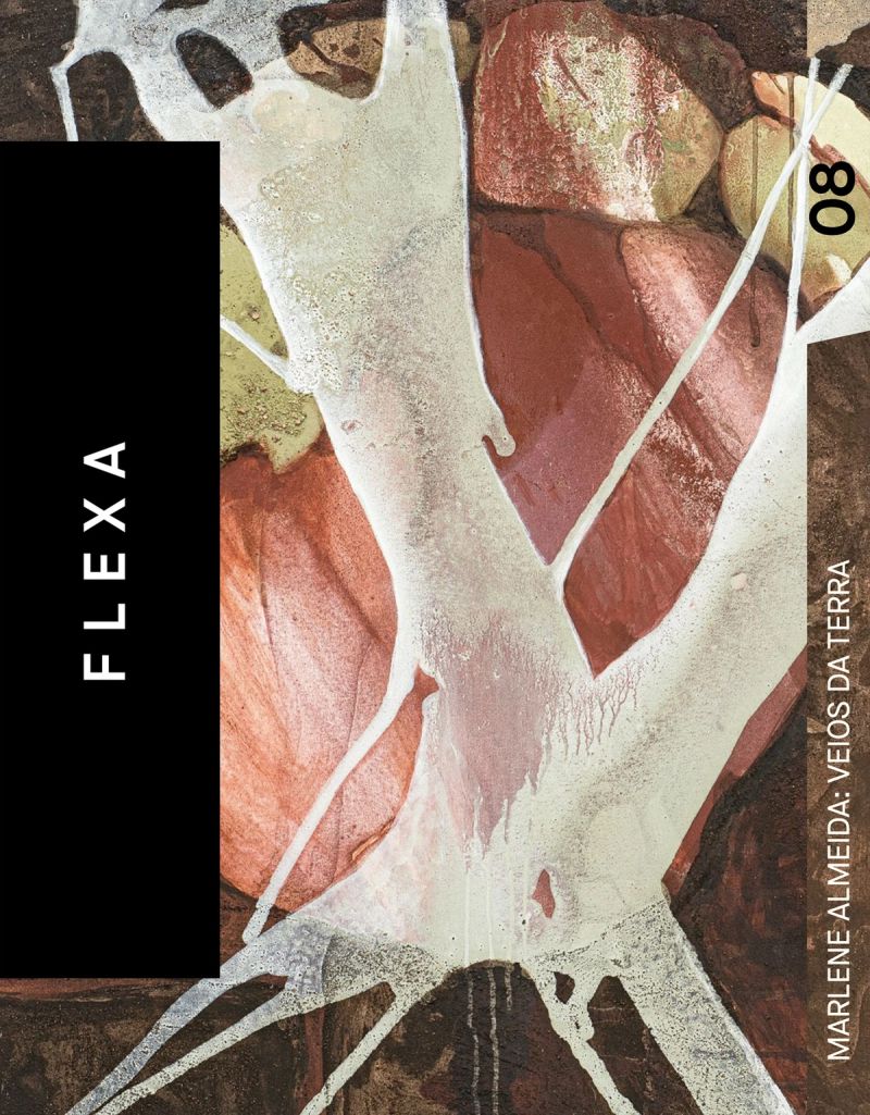 Capa do catálogo Marlene Almeida: veios da terra