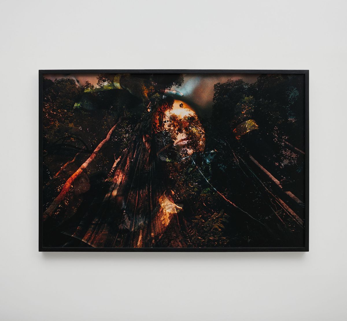 Claudia Andujar — Floresta amazônica, Pará, da série Sonhos Yanomami, 1971/2015