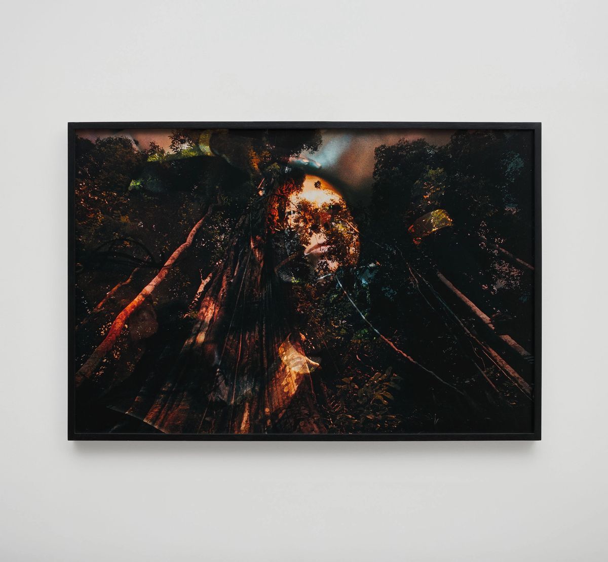 Claudia Andujar — Floresta amazônica, Pará, da série Sonhos Yanomami, 1971/2015