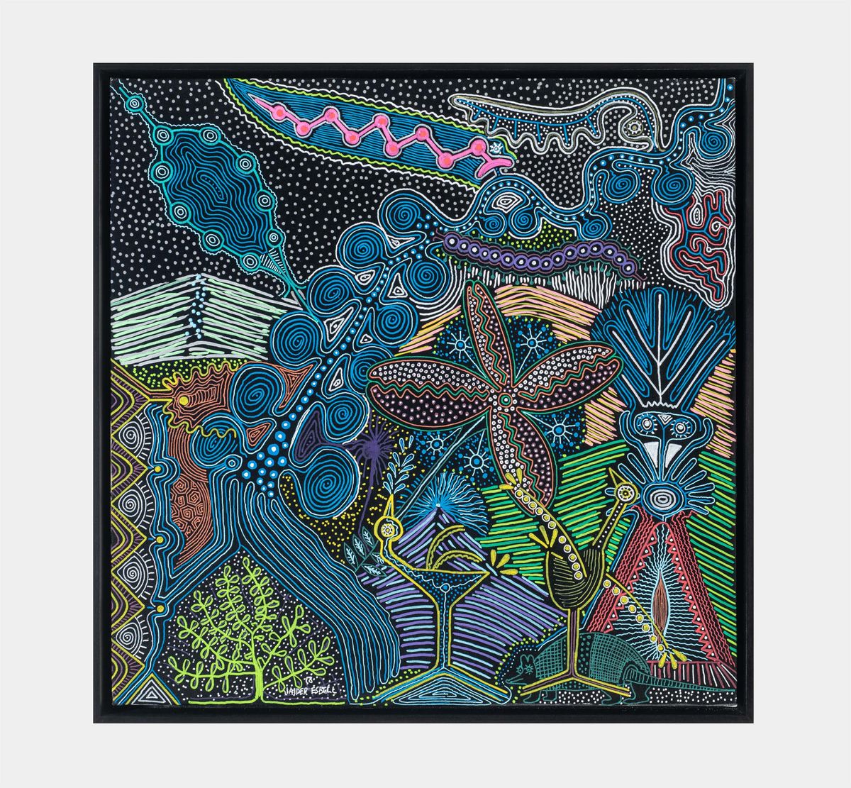 Jaider Esbell — Rios voadores, 2018