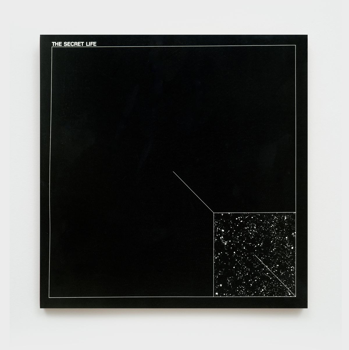 Antonio Dias — The secret life, 1970