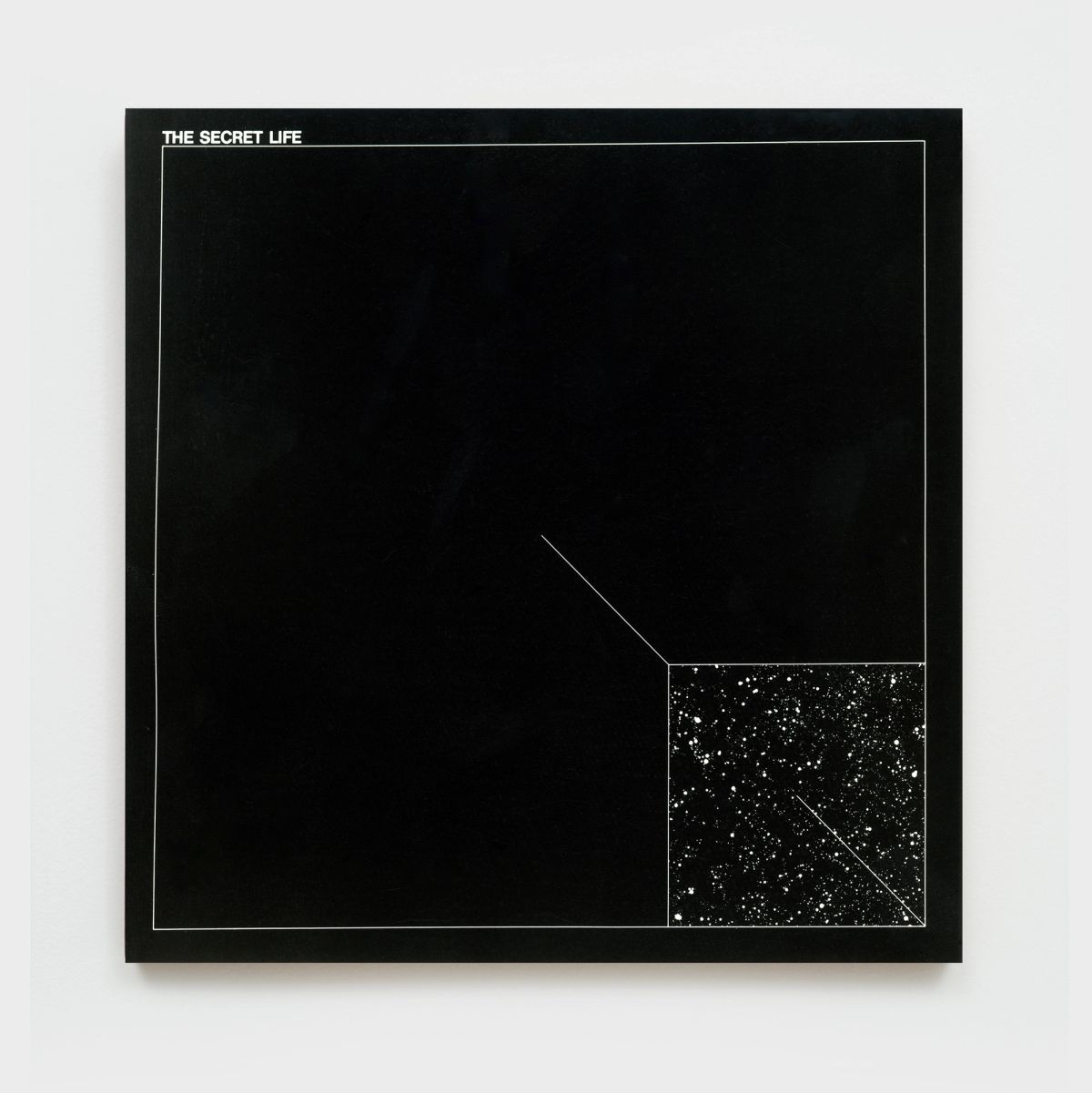 Antonio Dias — The secret life, 1970