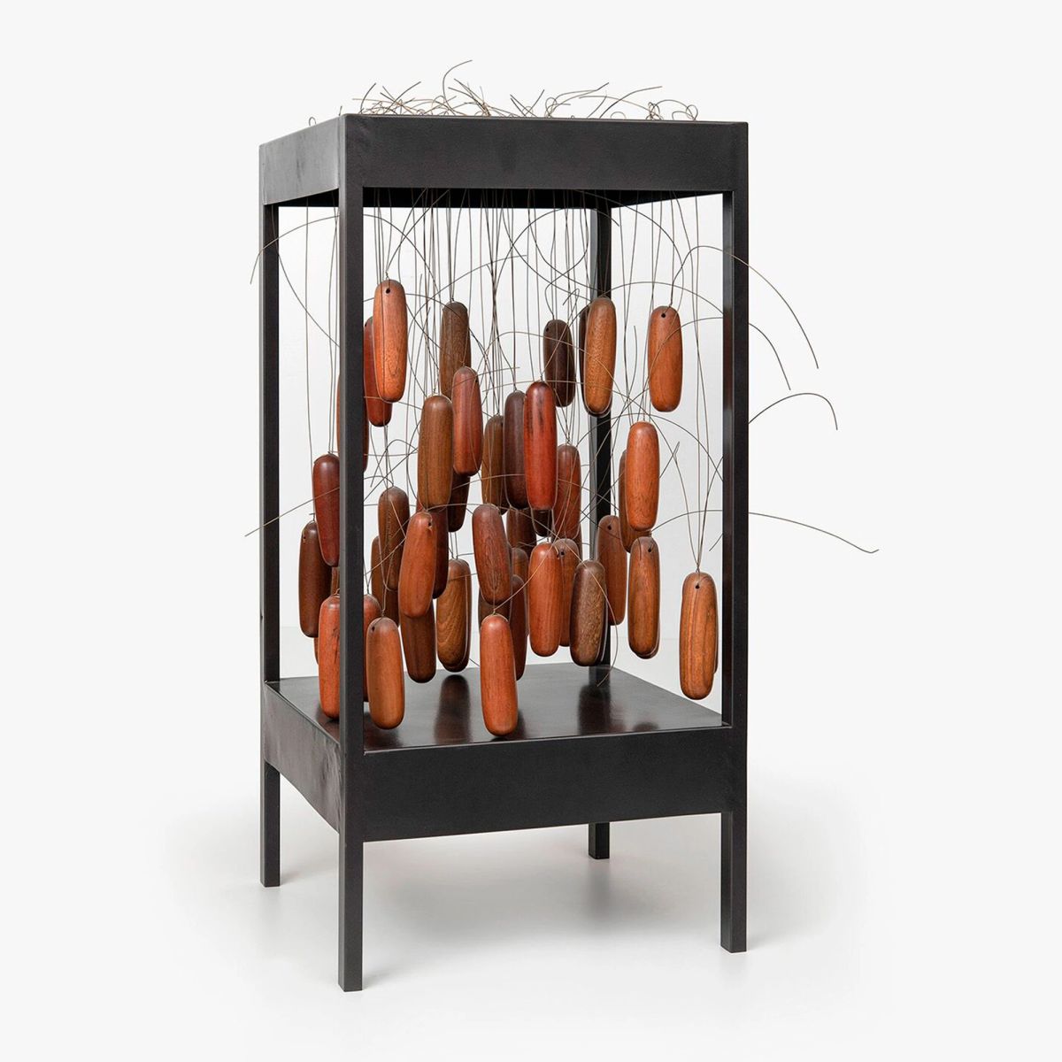 Anna Maria Maiolino — Mais de 50, 2008/2013