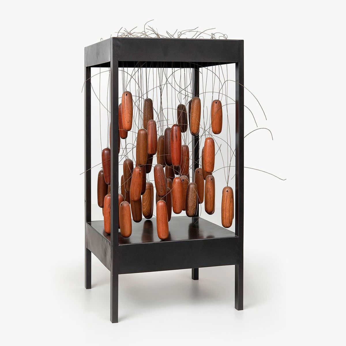 Anna Maria Maiolino — Mais de 50, 2008/2013