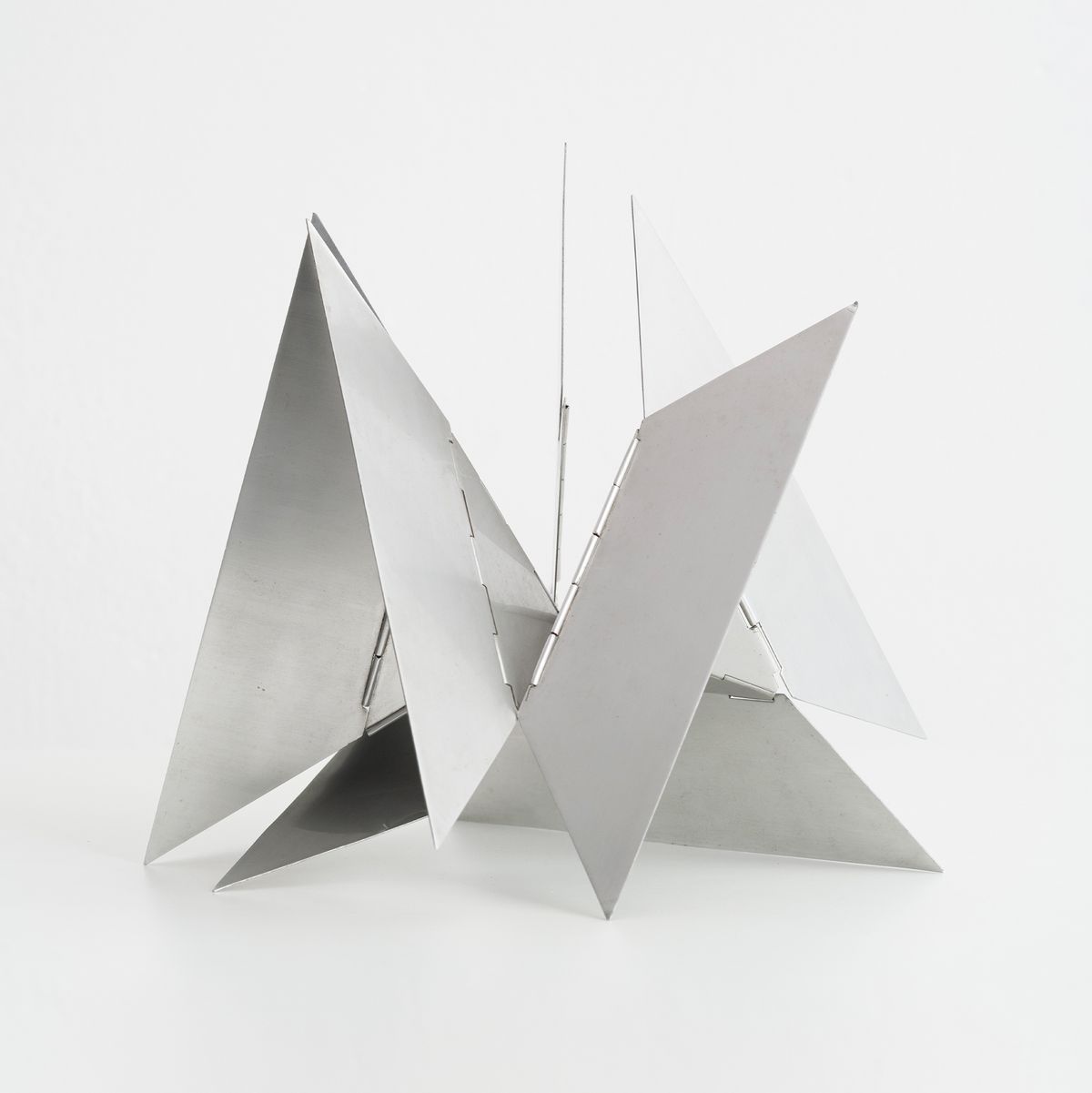 Lygia Clark — Bicho desfolhado, 1960