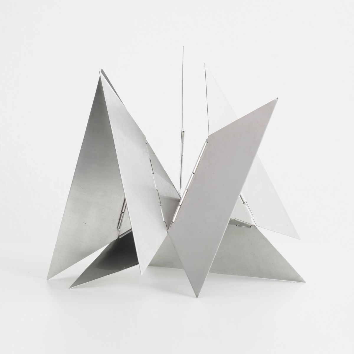 Lygia Clark — Bicho desfolhado, 1960