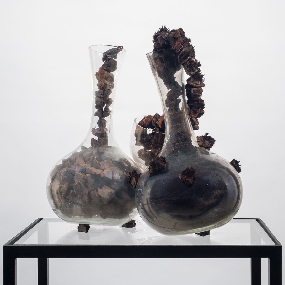 Tunga — Lucido nigredo XIV, 1999