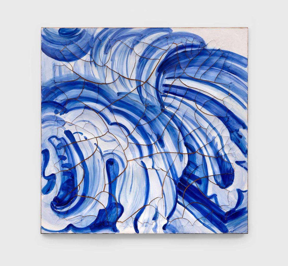 Adriana Varejão — Alegoria Imprecisa, 2011