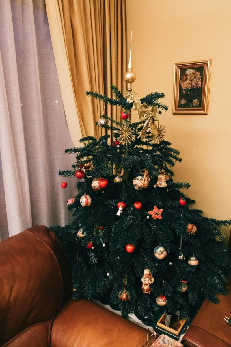 Christmas Tree Decorating Ideas _ What Makes Christmas Tree Aesthetics Different in 2025 by All Things Snug