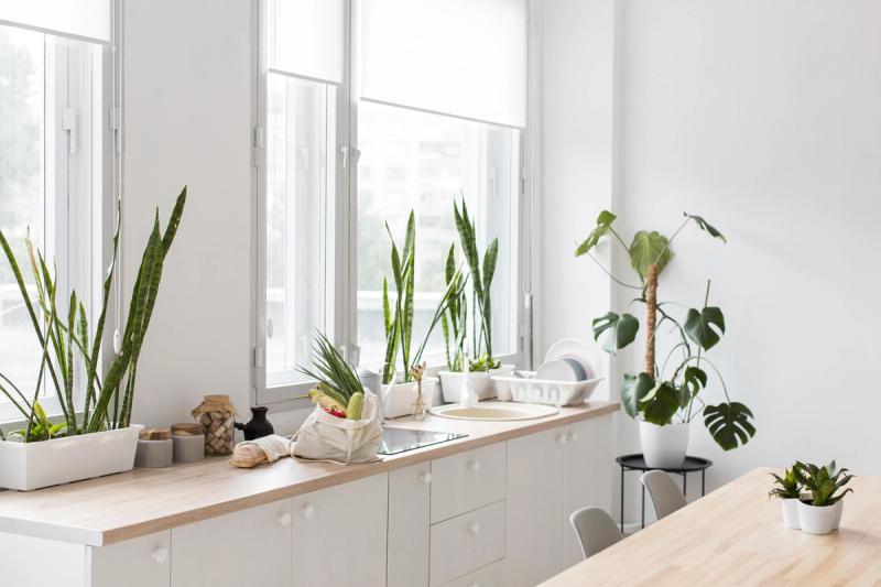 A Small Kitchen with Plants _ All Things Snug Kitchen Ideas