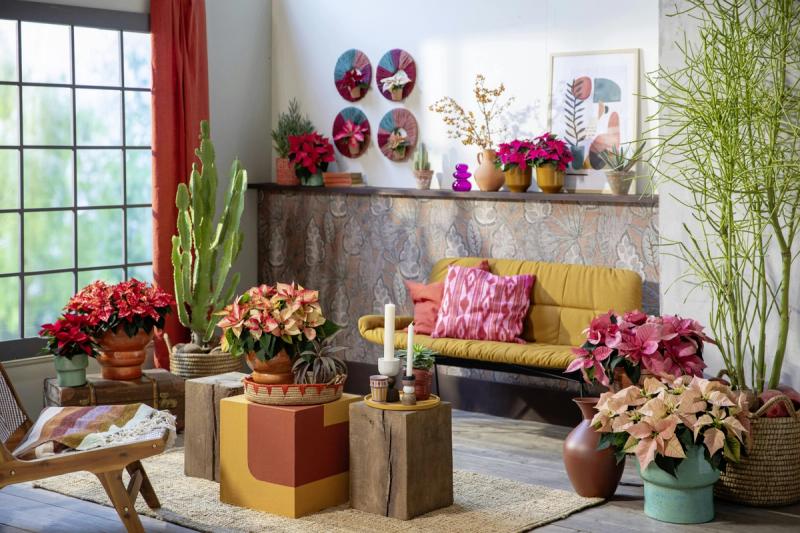 Decorating a Small Living Room for Christmas: What to Skip in Small Spaces