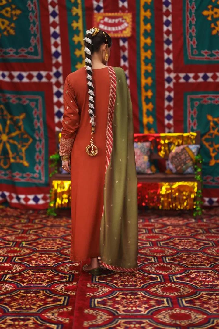 Rust Silver Embroidered Suit - Image 5