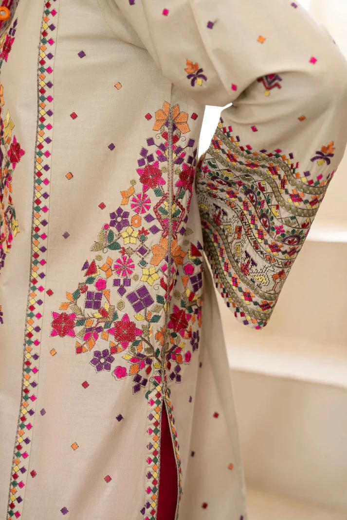 Kashmiri Embroidery & Mirror Work Festive Suit - Image 4