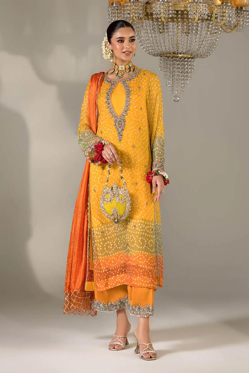Chiffon & Silk Embroidered Suit - Image 15