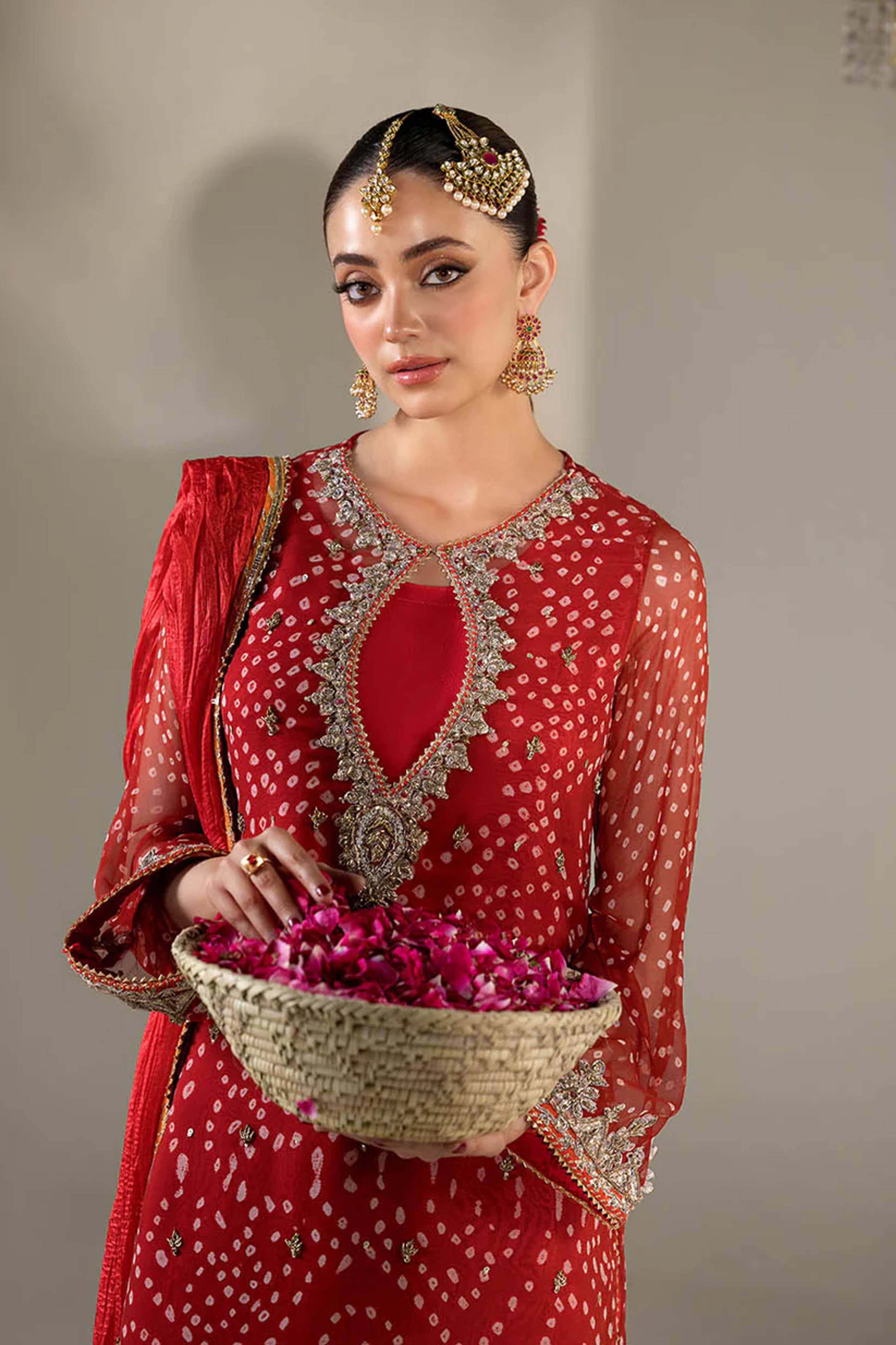 Chiffon & Silk Embroidered Suit - Thumbnail 5