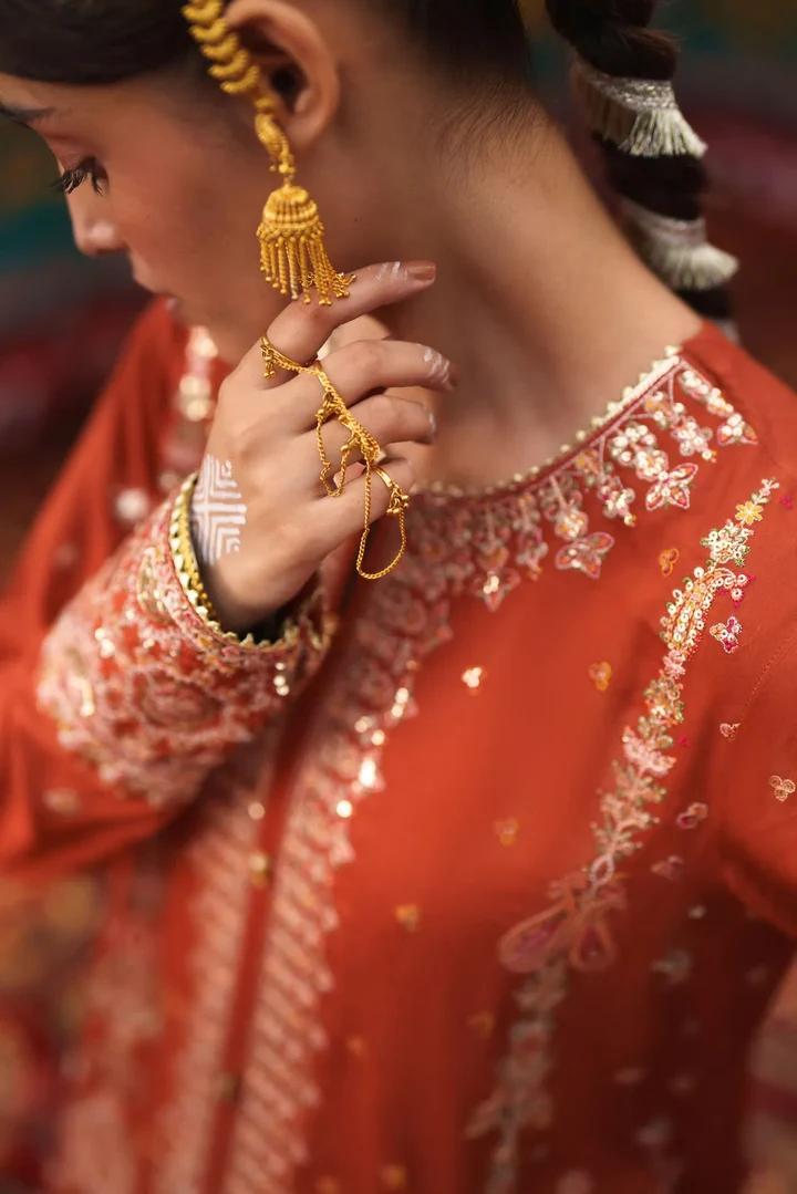 Rust Silver Embroidered Suit - Image 4