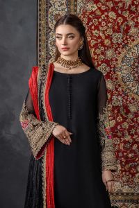Needlecraft Chiffon & Silk Farshi Shalwar Set - Thumbnail 2