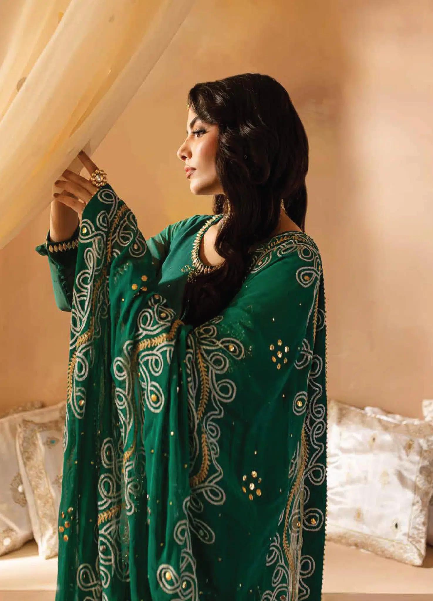 Mukeshkari Chiffon Suit - Image 4