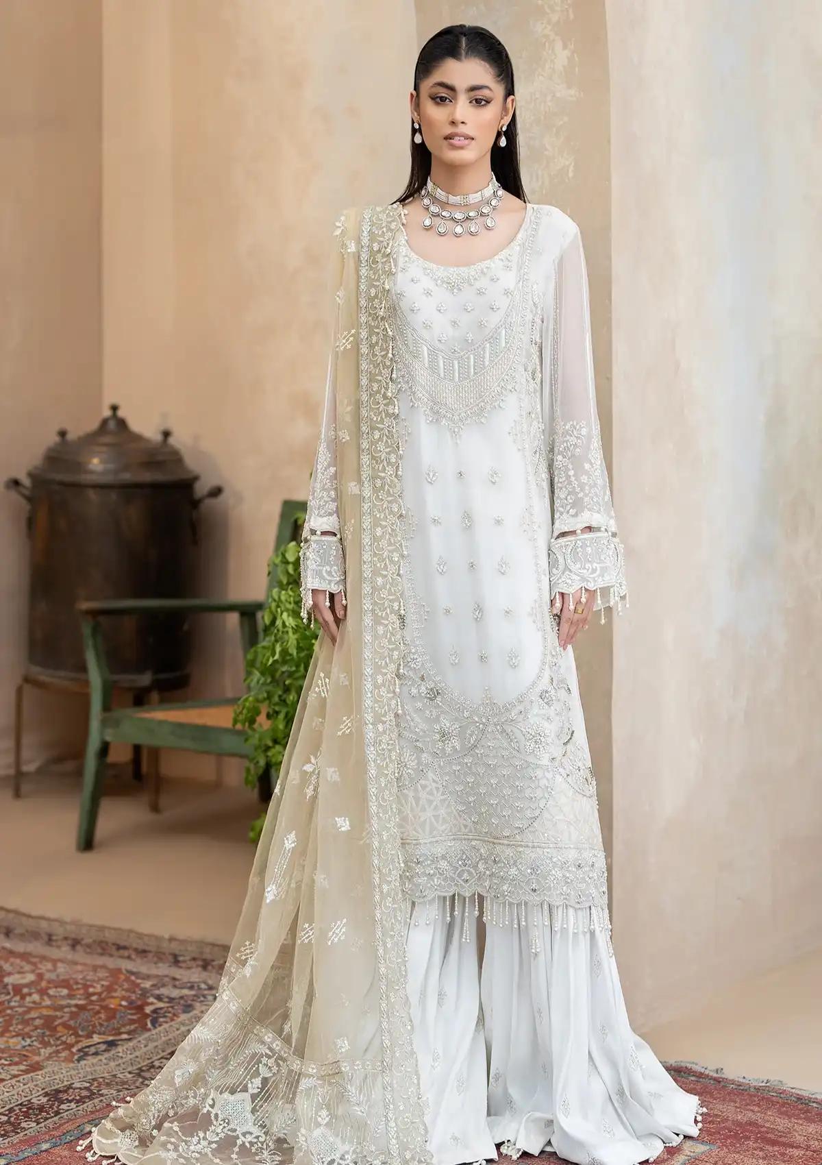 Embroidered Organza Suit