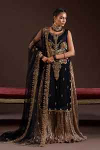 Kora Dabka Chiffon Shirt & Gotta Work Dupatta - Thumbnail 1