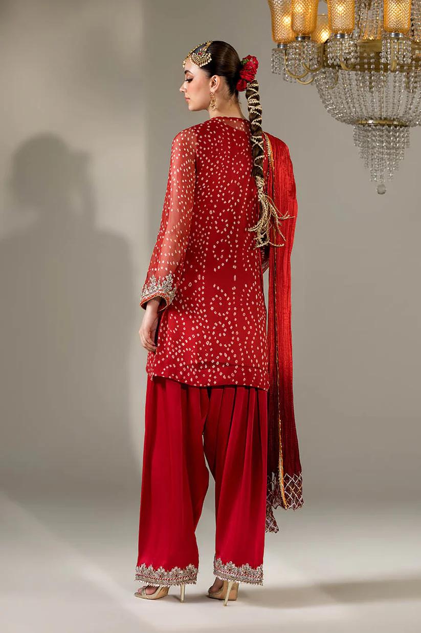Chiffon & Silk Embroidered Suit - Image 3