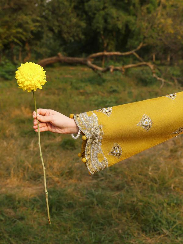 Luxury Chikankari Jacquard Suit with Organza Dupatta - Image 5