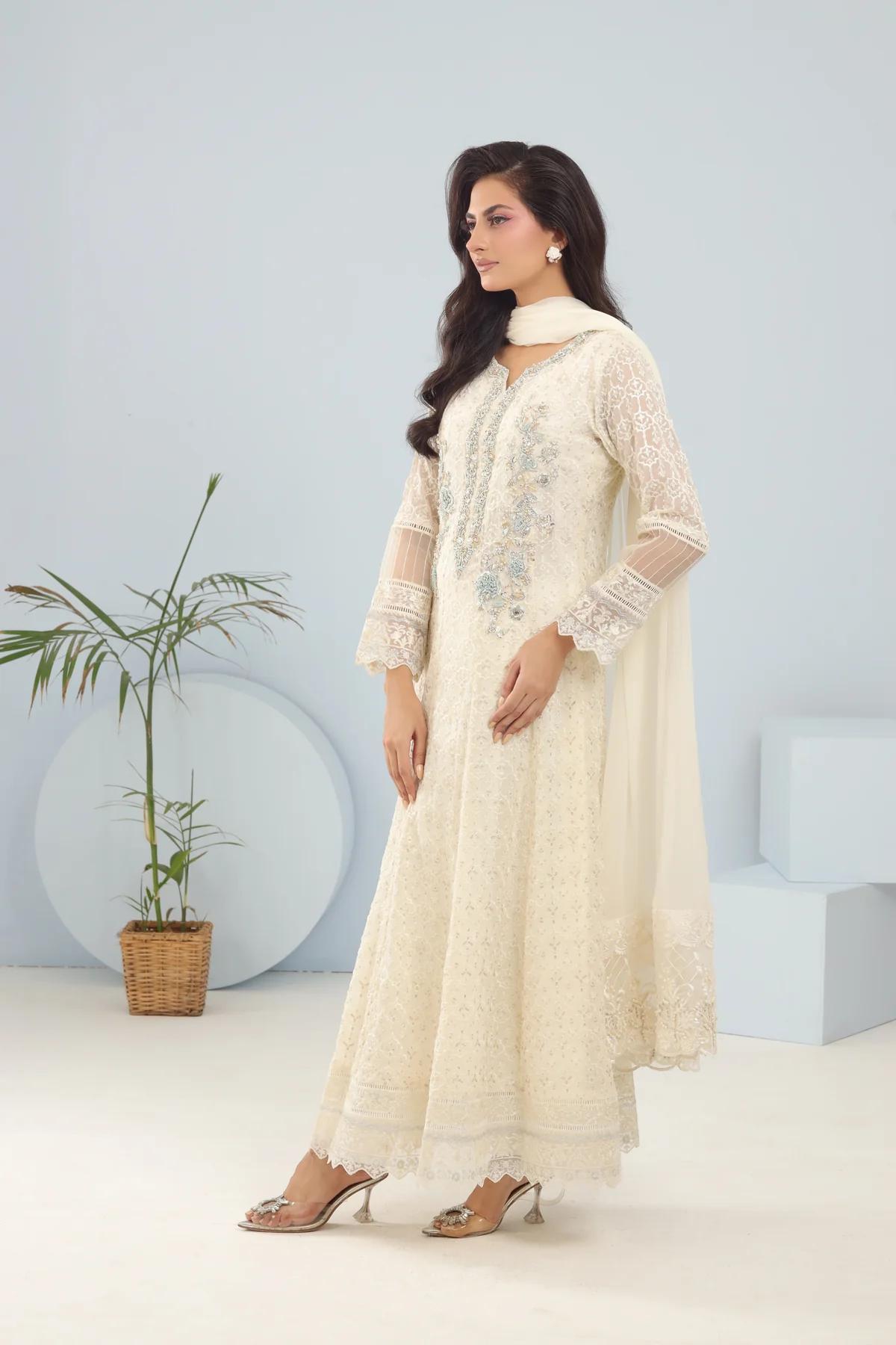 Chiffon Hand-Worked Long Frock - Image 6