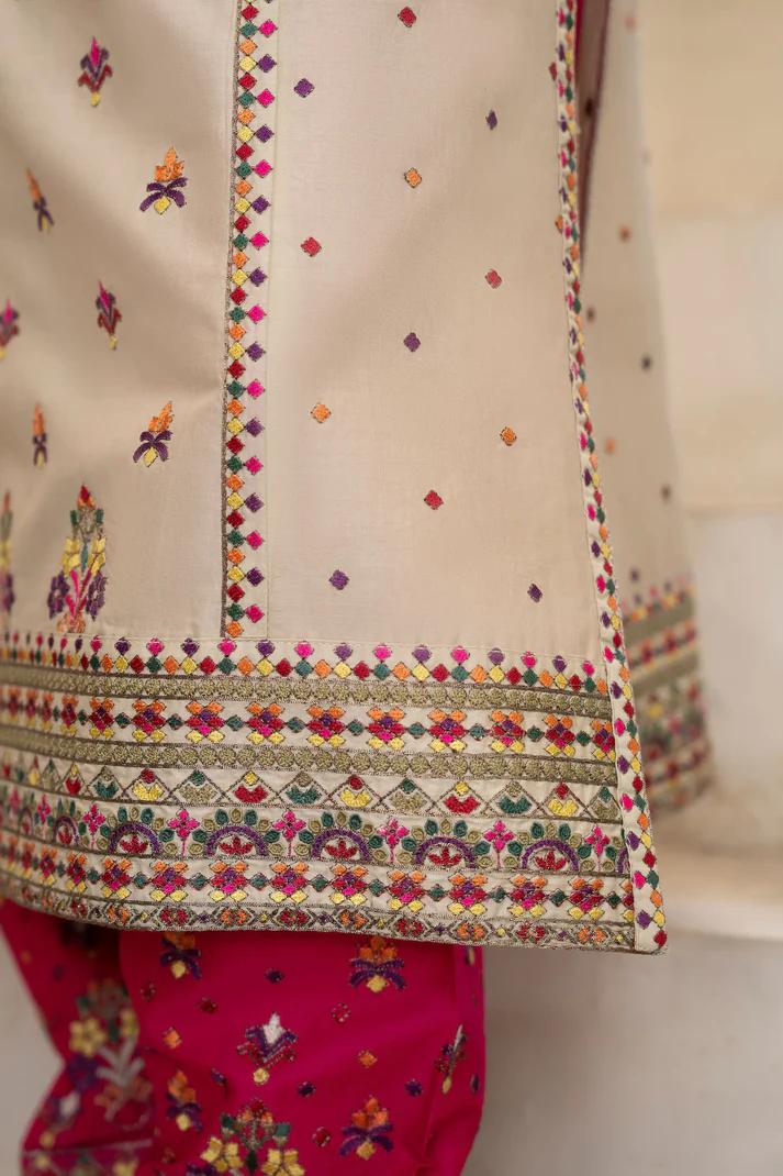 Kashmiri Embroidery & Mirror Work Festive Suit - Image 8