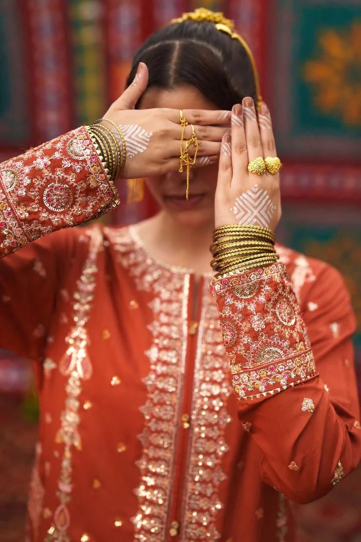 Rust Silver Embroidered Suit - Image 3