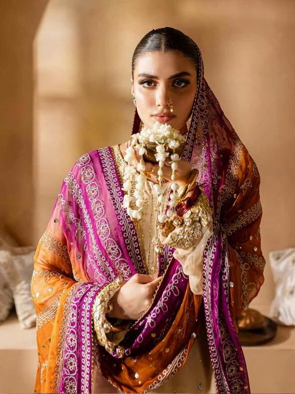 Mukesh kari Chiffon Suit - Image 4