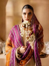 Mukesh kari Chiffon Suit - Thumbnail 4