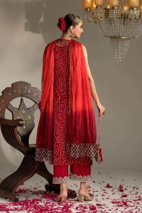 Chiffon & Silk Embroidered Suit - Thumbnail 9