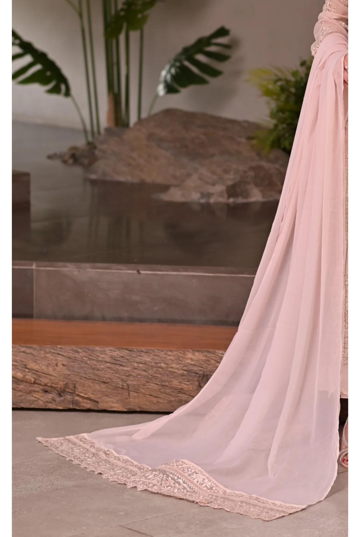 Chiffon Hand-Worked Long Frock - Image 2