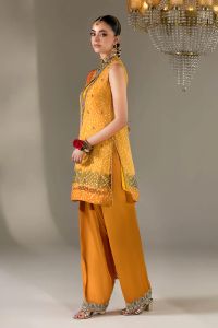 Chiffon & Silk Embroidered Suit - Thumbnail 14