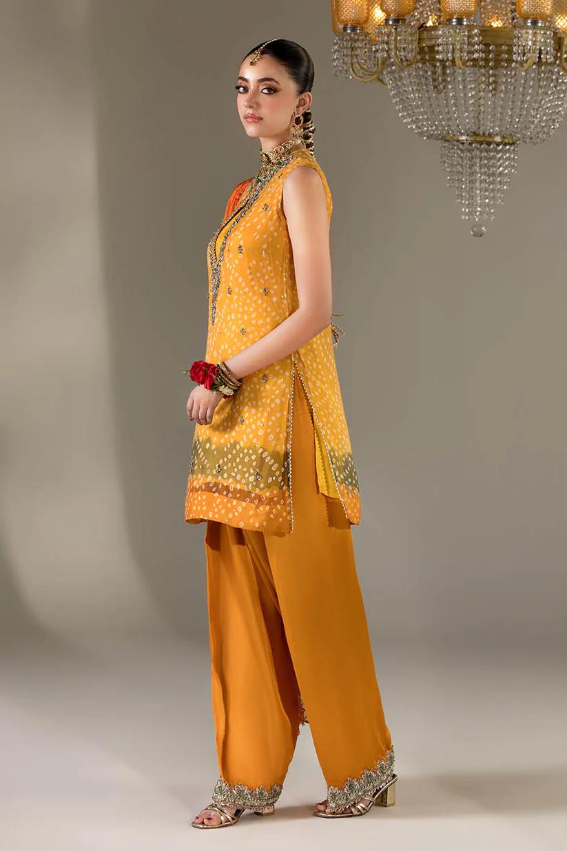 Chiffon & Silk Embroidered Suit - Image 14
