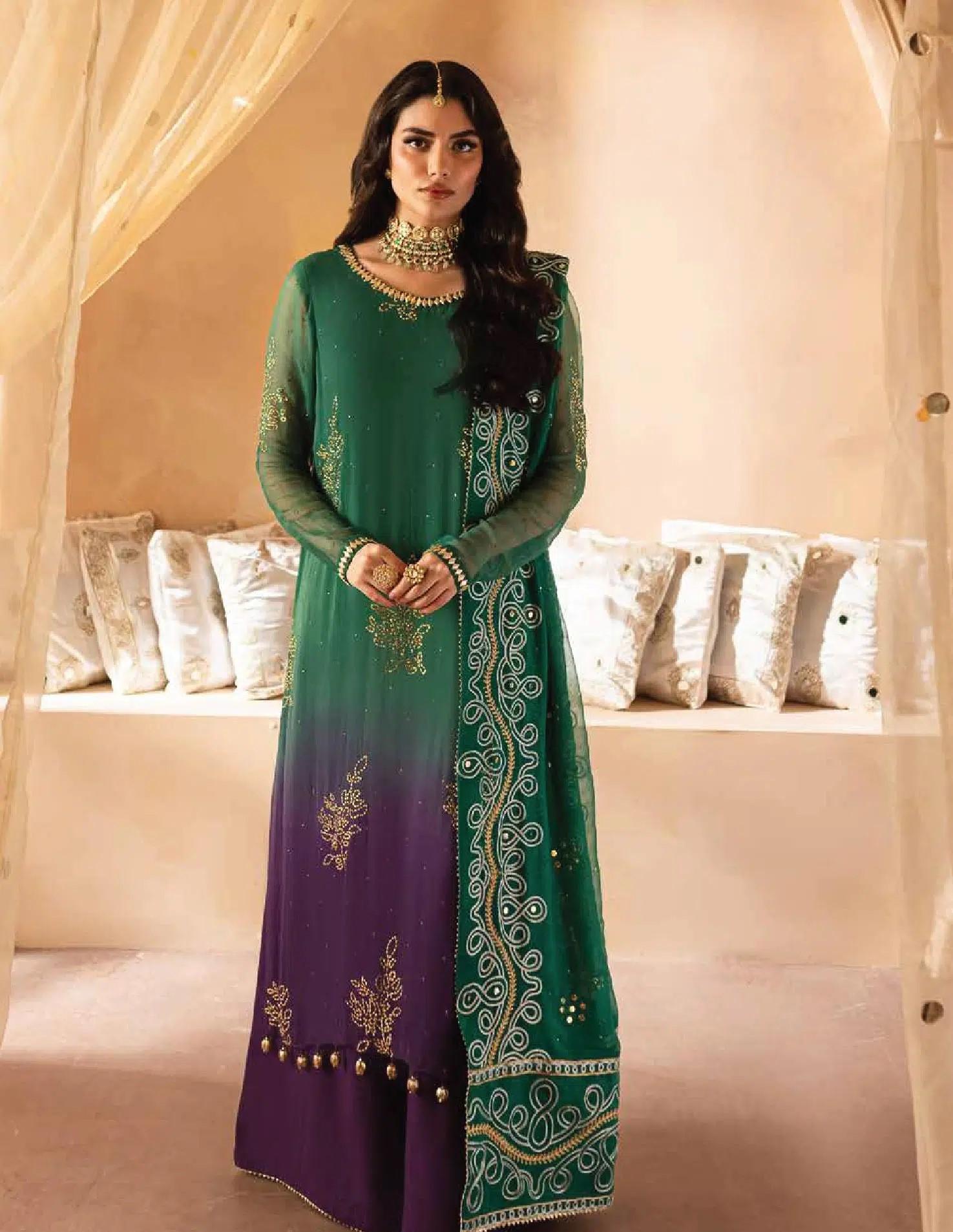 Mukeshkari Chiffon Suit - Image 2