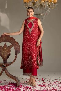 Chiffon & Silk Embroidered Suit - Thumbnail 7